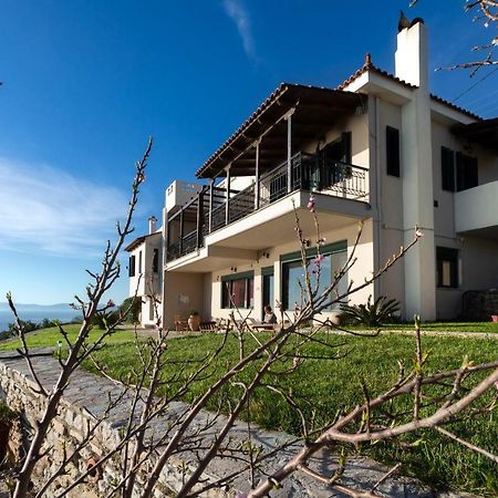 Aegean Panorama Apartments Akhladherí Exterior foto